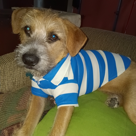 Meet your Posher, Sergio - Picture 1 of 2